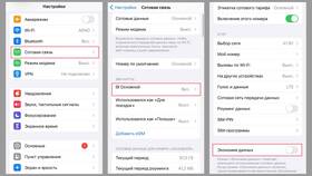 Что делать если запрет выключается в Мария-Ра