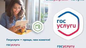 Что такое портал услуг в Мария-Ра