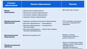 Институт как ООО: особенности образовательной организации в Мария-Ра