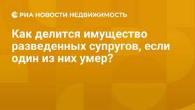 Как делится имущество без детей в Мария-Ра