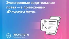 Как оформить электронные водительские права через Госуслуги в Мария-Ра