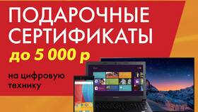 Как оплатить подарочной картой в DNS в Мария-Ра