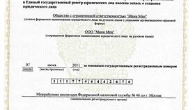 Как получить дубликат ИНН юридического лица в Мария-Ра