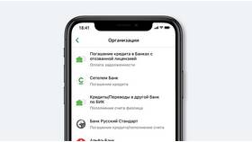 Как получить кредит через онлайн-банк в Мария-Ра