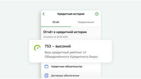 Как получить кредитную историю в Мария-Ра