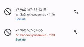 Как позвонить в полицию с телефона Билайн в Мария-Ра