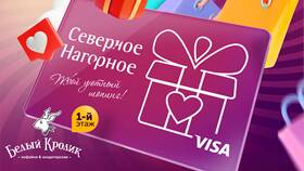 Как проверить номинал подарочной карты DNS в Мария-Ра