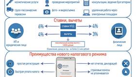 Как стать самозанятым: пошаговая инструкция в Мария-Ра