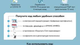 Как восстановить QR-код: пошаговая инструкция в Мария-Ра