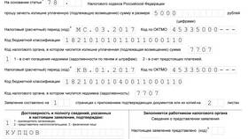 Как юридическому лицу вернуть НДС: практический пример в Мария-Ра