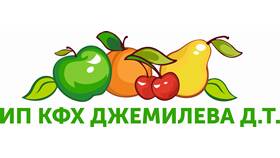 На основании чего действует ИП КФХ в Мария-Ра