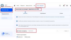 Налоговое сальдо ЕНС: что это? в Мария-Ра