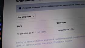 Почему не получается оплатить с баланса FunPay в Мария-Ра