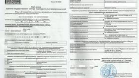 Закрытие ИП: что нужно сдать в налоговую в Мария-Ра