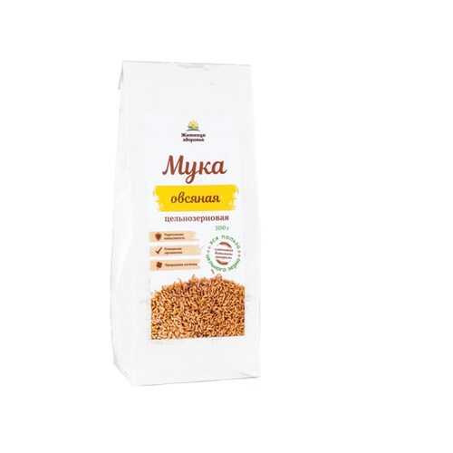 Мука овсяная цельнозерновая Житница здоровья 0.5 кг в Мария-Ра