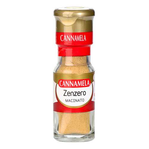 Приправа Cannamela имбирь молотый 20 г в Мария-Ра