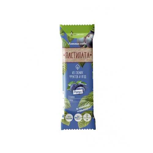 Пастила фруктовая Экофермер pastilata слива с медом 30 г в Мария-Ра