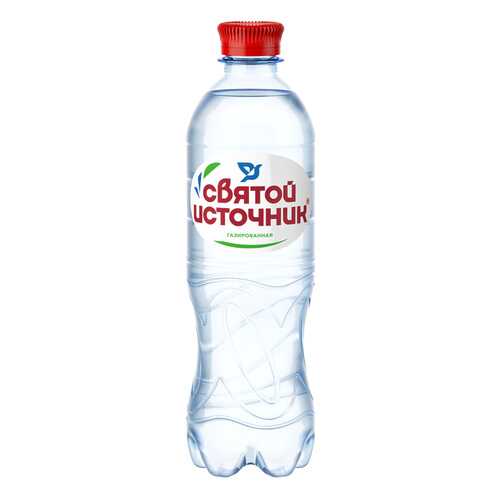Вода СВЯТОЙ ИСТОЧНИК газ пэт 0,5л*12 шт в Мария-Ра